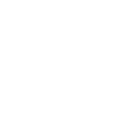 logo_transparent_white